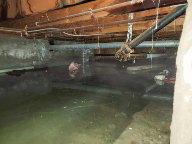 Best Ceiling water damage repair  in Dranesville, VA