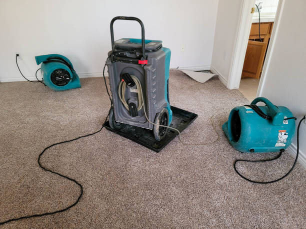 Best Water damage contractors near me  in Dranesville, VA