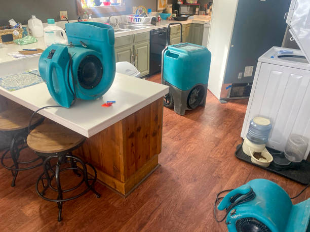 Best Sewage cleanup and water damage restoration  in Dranesville, VA