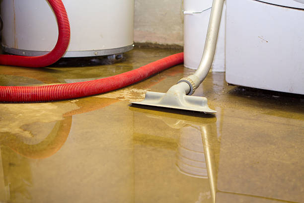 Best Flood damage cleanup  in Dranesville, VA