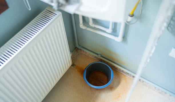 Best Local water damage restoration  in Dranesville, VA