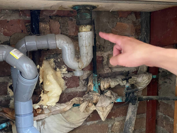 Best Carpet water damage restoration  in Dranesville, VA