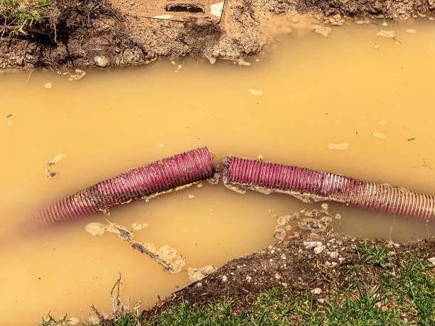 Best Sewage cleanup and water damage restoration  in Dranesville, VA