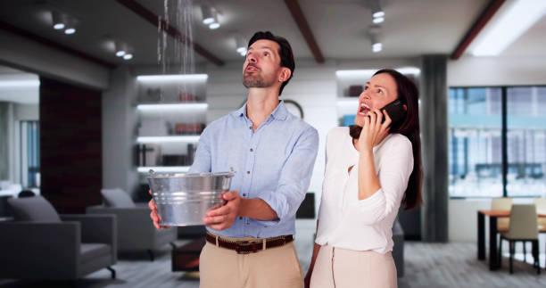 Best Water damage restoration near me  in Dranesville, VA