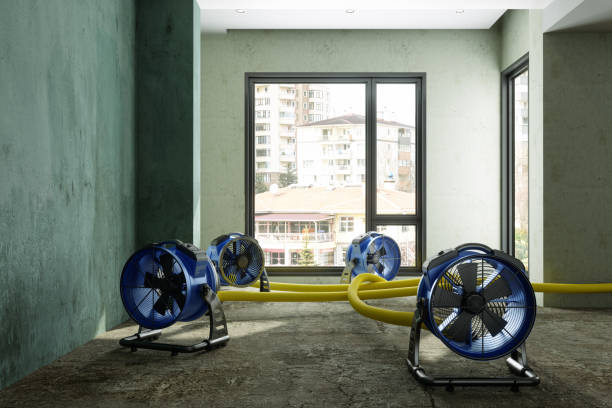 Best Basement water damage restoration  in Dranesville, VA